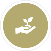 栽培・販路開拓 アイコン