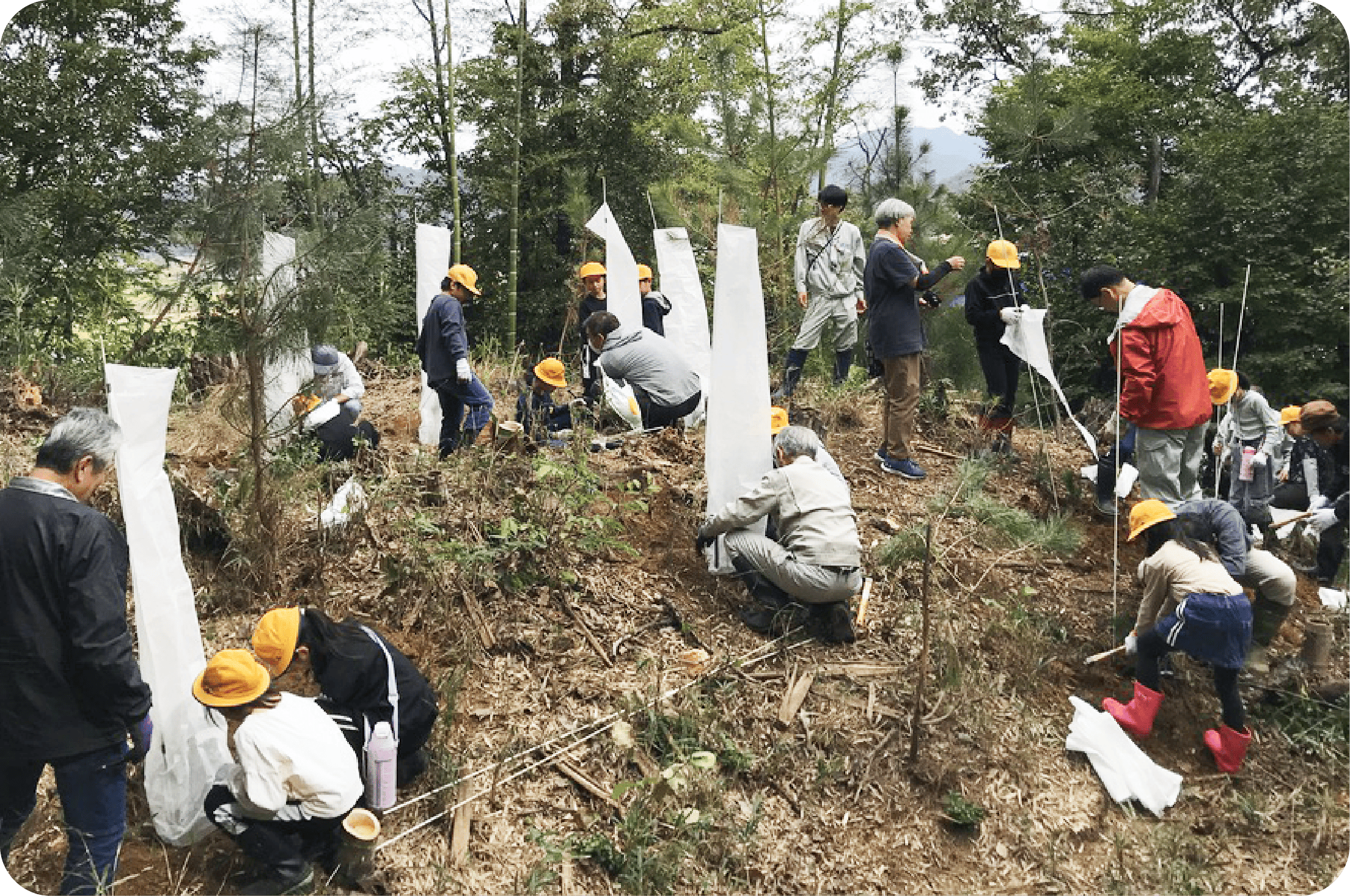 地域の方々と一緒に、子どもたちのための植樹会をサポート