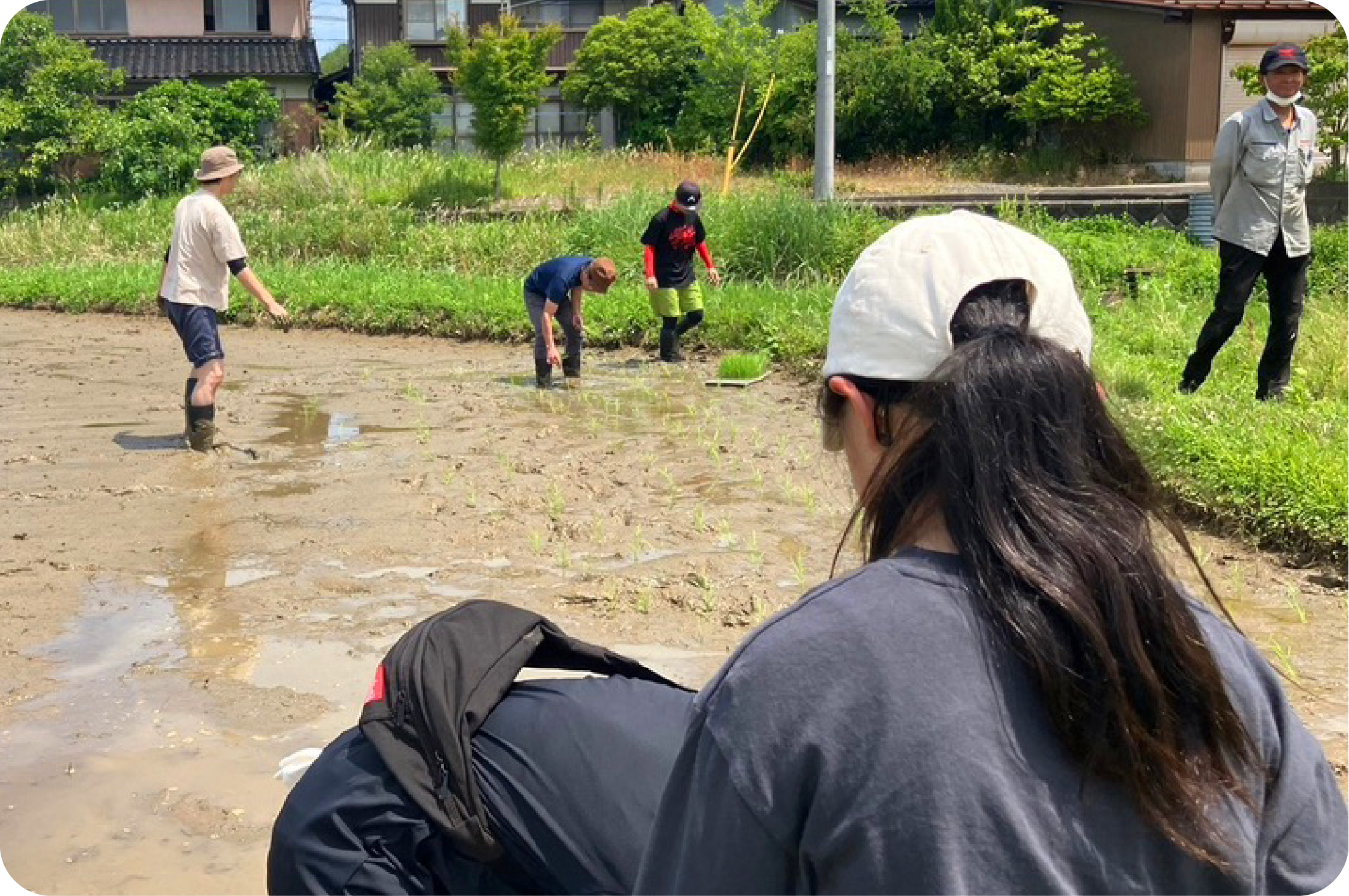 青空の下、大盛況の田植え交流会